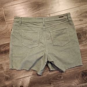 Carve Designs Oahu Shorts
